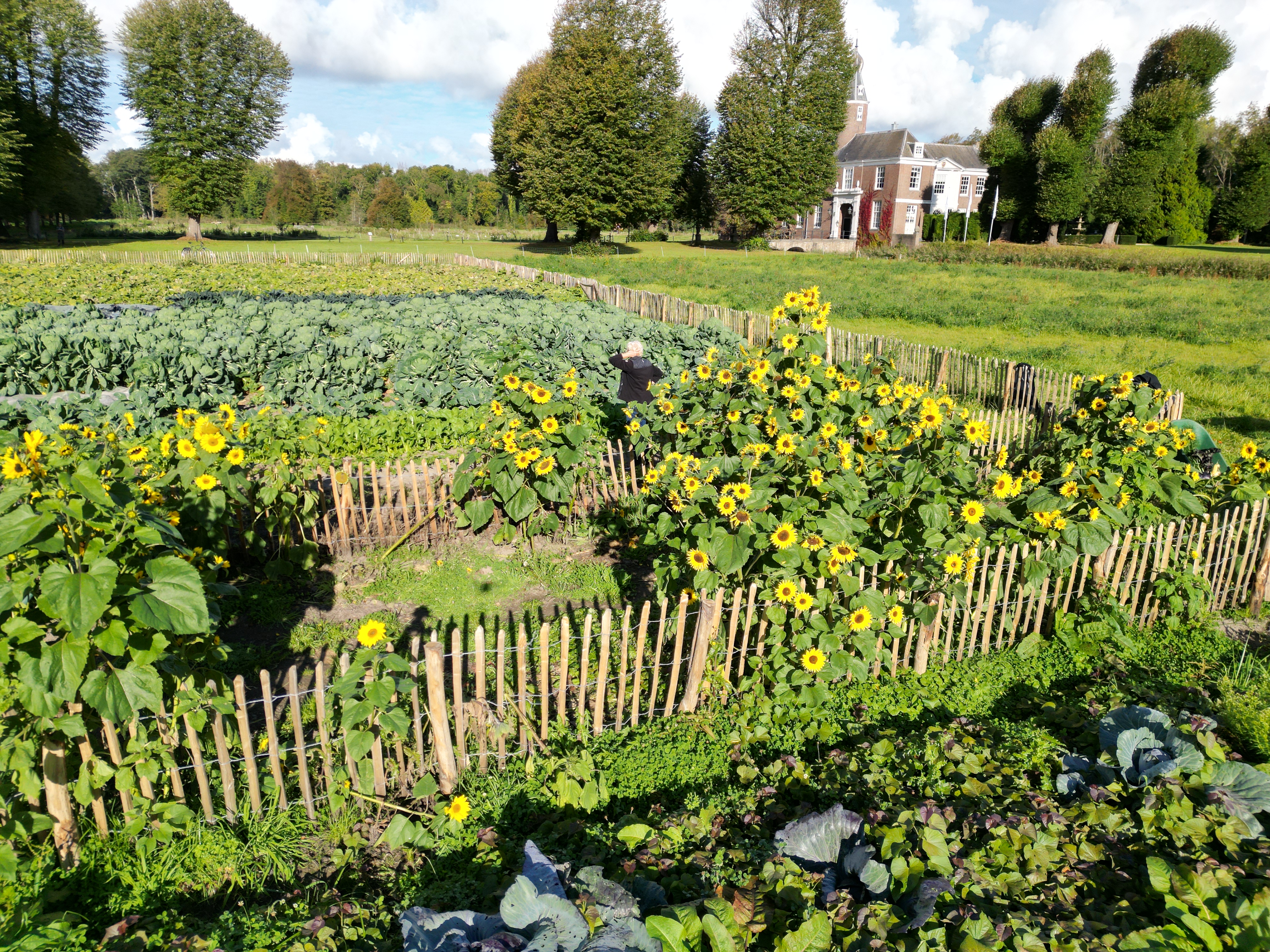 Zaterdag 22 november &ndash; De Moestuin Pop-up Lunch